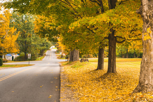 istock autumn park in vermont 2172103949