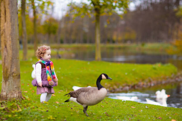 istock Kids playing in autumn park 2172105269