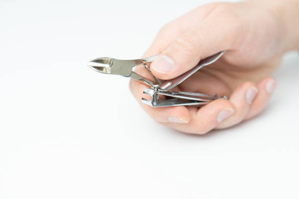 istock Male hand holding two types of nail clipper plier type and compound lever type 2172110090