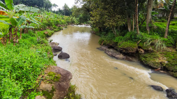 istock Flowing river surrounded by lush green vegetation 2172114317
