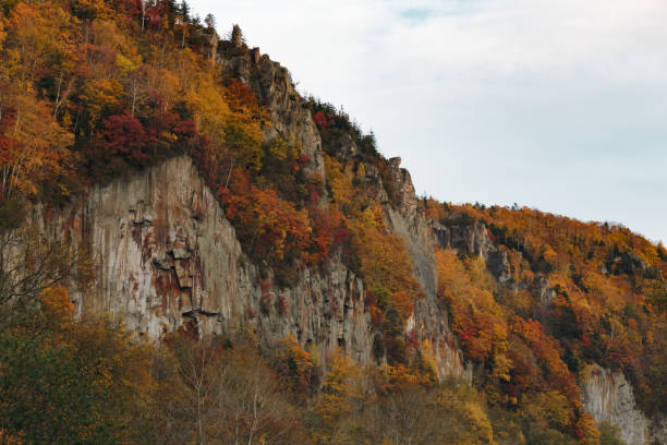 istock Colourful autumn trees growing on rocky cliff in gorge 2172116973