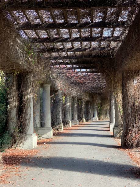 istock Architecture columns in the park near the Centennial Hall in Wroclaw 2172128927