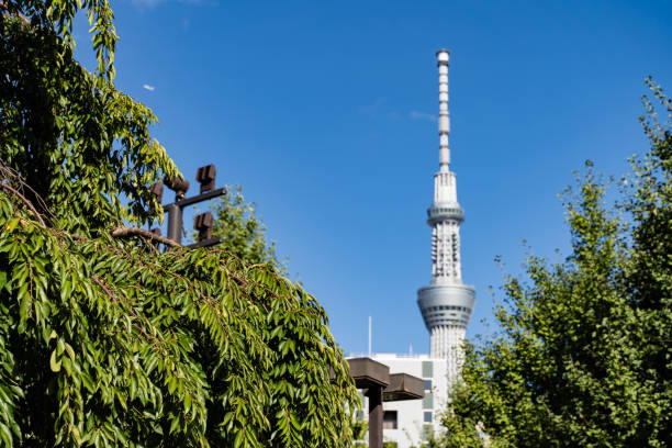 Tokyo Japan