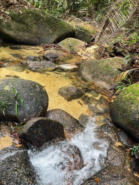 istock Mini waterfall in the middle of forest at Bukit Ulu Choh 2172140262