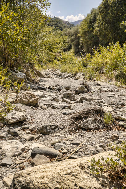 istock empty bed of a river that flows through a topolia gorge on the crete 2172140304