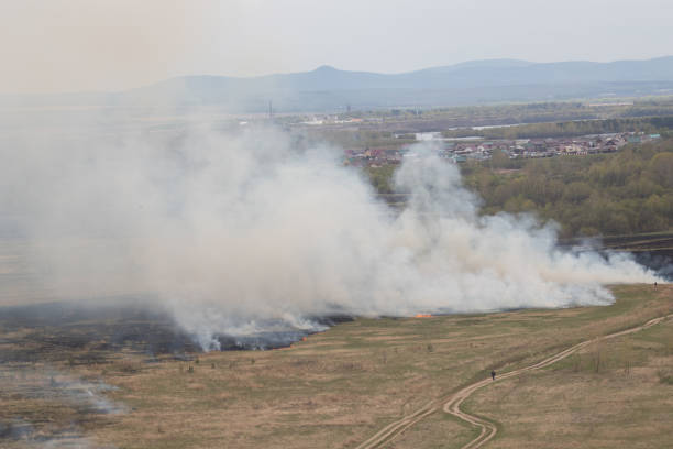 istock Fire in the field. Dry grass burning 2172146722