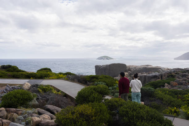 couple standing on a large rock looking at beach