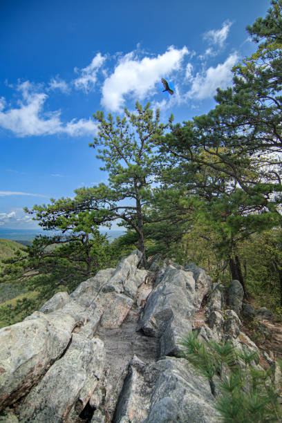 Old Rag Hiking Trail - Shenandoah National Park