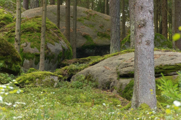 Rock formations in Lower Austria, Austria.