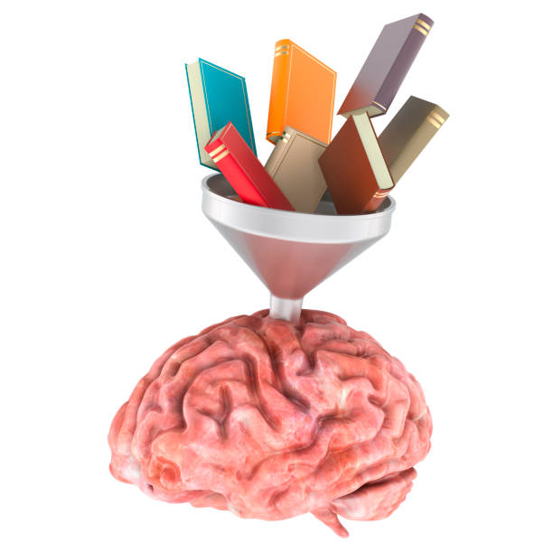 istock Books as fuel for brain, concept. 3D rendering 2172160701