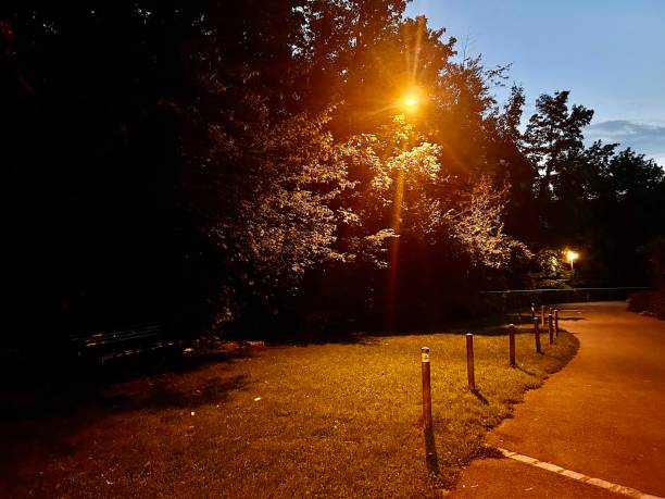 istock Evening walk in the park 2172161730