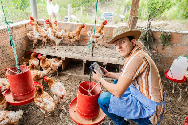 istock Portrait of a young man using digital tablet in a chicken coop 2172162276