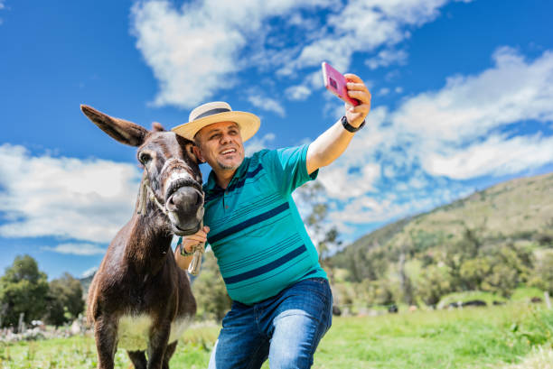 istock Mature man taking selfie with a donkey on a farm 2172162352