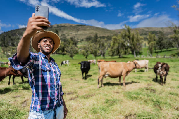 istock Young man taking selfie with cattle on a farm 2172162375