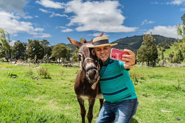 istock Mature man taking selfie with donkey on a farm 2172162789