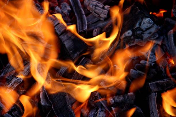 firewood burning with bright fire close-up. High quality photo