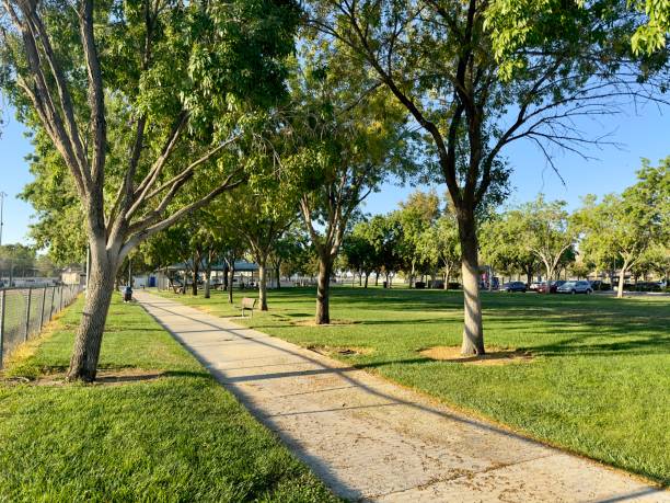 istock A winding path lined with vibrant wildflowers and tall, leafy trees, gently shaded. The trail meanders around a serene pond with ducks, leading to a peaceful meadow where benches invite quiet reflection. 2172171938