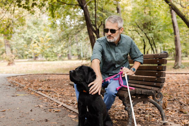 istock Man with visual impairment and his guide dog relaxing in the park 2172179931