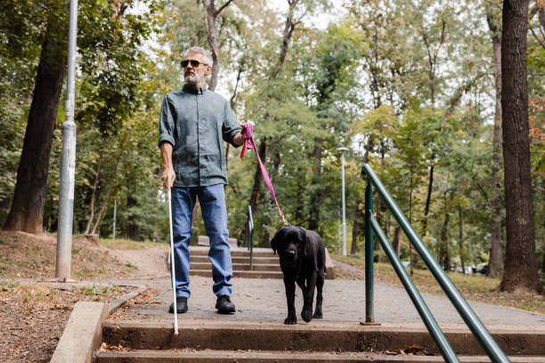 istock Assistance dog is leading his blind owner down the steps in the park 2172179939