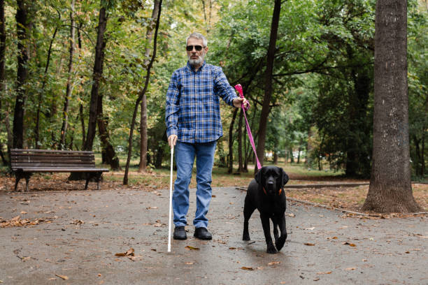 istock Blind man walking through the park with his guide dog 2172179954