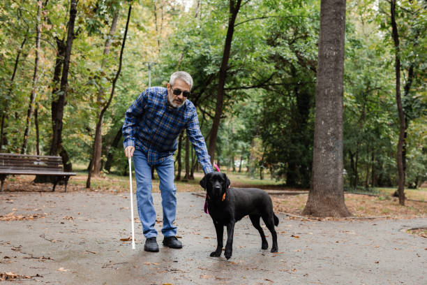 istock Blind man taking a stroll in the park with his guide dog by his side. 2172179957