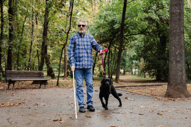 istock Blind man walking in the park with a guide dog 2172179961