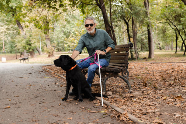 istock Man with visual impairment enjoying a peaceful moment in the park with his dog 2172180041