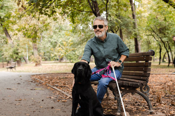 istock Man with visual impairment and his dog spending a joyful day in the park 2172180047