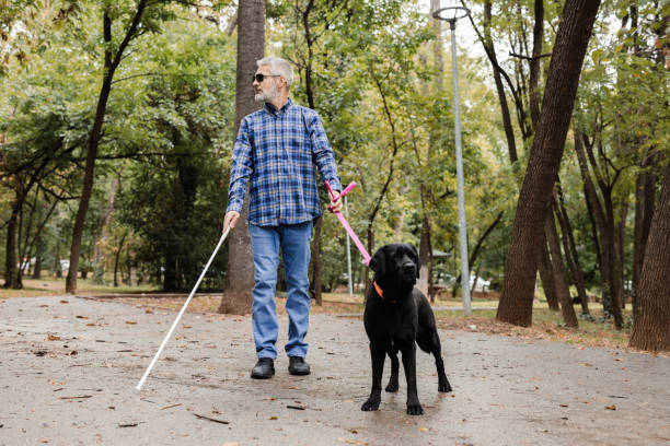 istock Blind man walking safely through the park, guided by his dog 2172180049