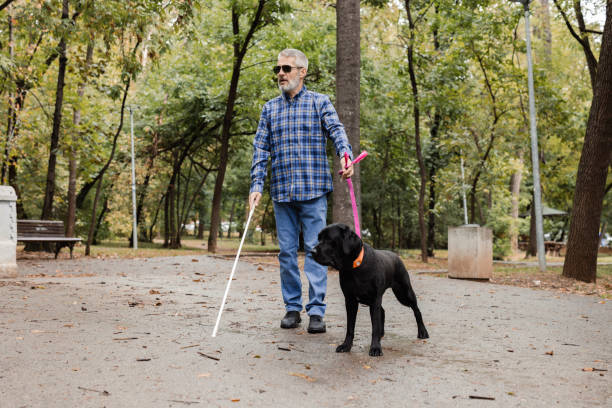 istock Blind man walking along a path in the park with his guide dog leading the way 2172180053
