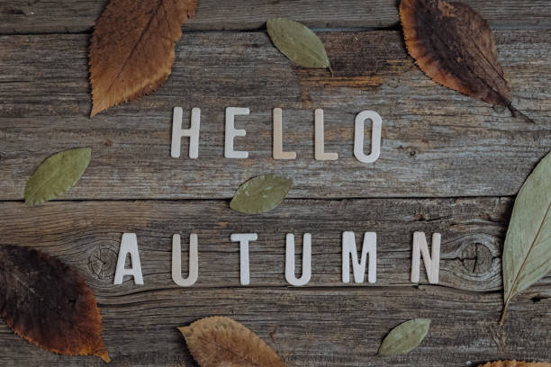 istock A phrase from the letters hello autumn and leaves on the table. 2172181343