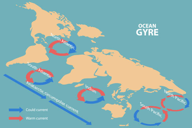 Vortex Gyre 500+ Ocean Currents Map Stock Photos, Pictures & Royalty-Free Images ...