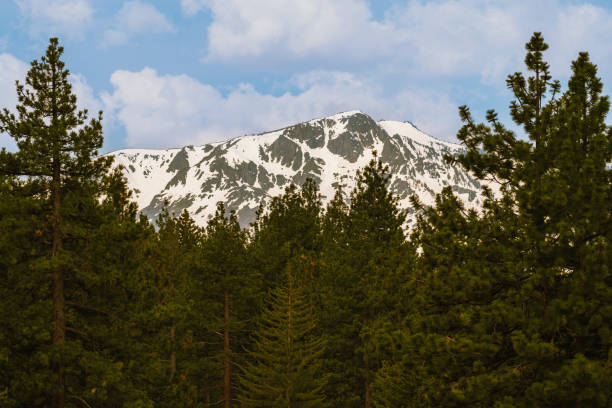 Landscape with the wooden fence, spring trees, wooden tower of chalet and snowy peaks of mountains in Bansko, Bulgaria