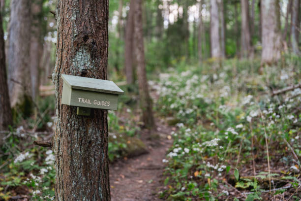 istock Appalachian Trail stretch of Connecticut 2172186709