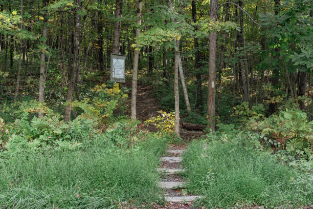 istock Appalachian Trail stretch of Connecticut 2172186713