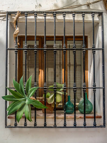 istock Typical spanish house window with house plants on the window ledge 2172197494