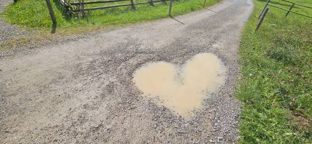 a heart-shaped puddle of water. found on a hiking trail. in the Alpstein, in the Alps of Switzerland. proof of nature's love for us.