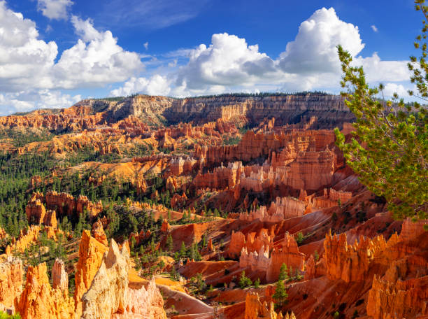 istock Bryce Canyon National Park 2172206850