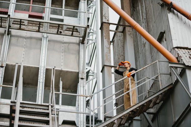 istock Specially skilled maintenance worker stand on a walkway overlooking grain bins that they are servicing. 2172206873