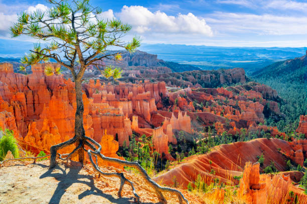 istock Bryce Canyon National Park 2172207039