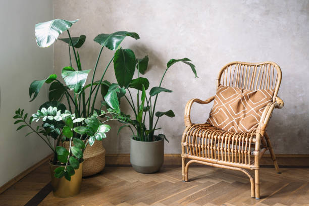 istock Rattan chair and plants in a cozy home with boho chic interior style 2172208457