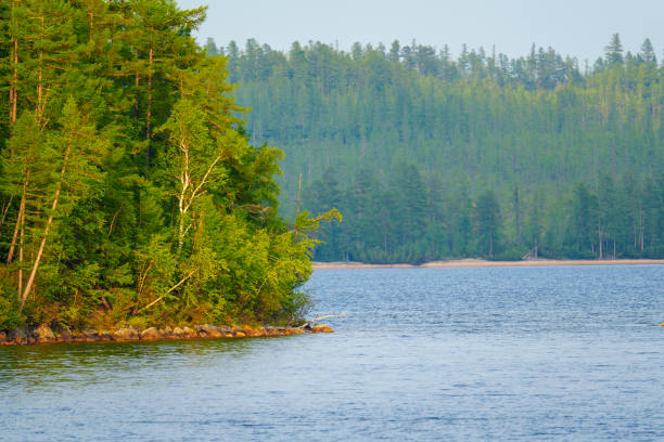 A serene lakeside scene with green trees and a distant forest, highlighting the tranquility of nature.