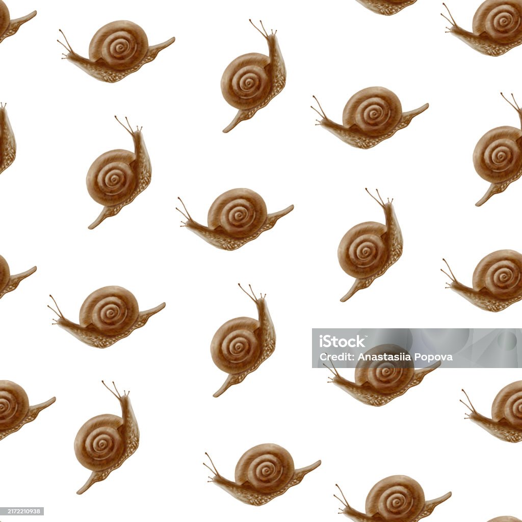 Snail Pattern Background Seamless Pattern Watercolor Snail On White Background For Your Projects ...