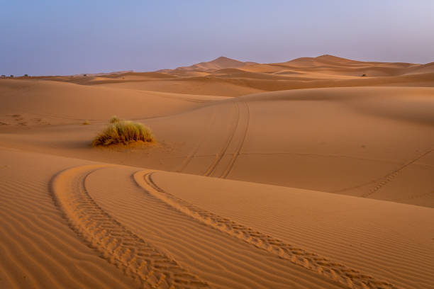 istock Off-Road Vehicle Silhouette on Erg Chebbi Dunes at Sunrise 2172224313
