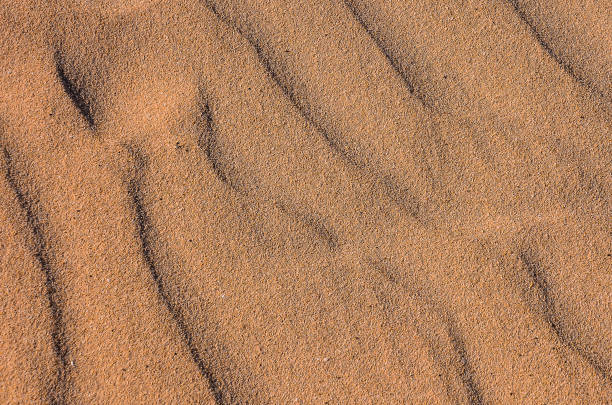 istock A sandy beach with a lot of sand and some small rocks 2172232611