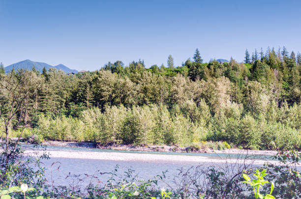 istock View of the Vedder River winding through Chilliwack, BC, Canada 2172235012