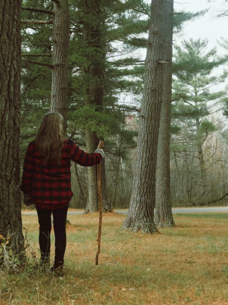 istock Adventurous senior woman hiking in a remote forest covered park. 2172241047