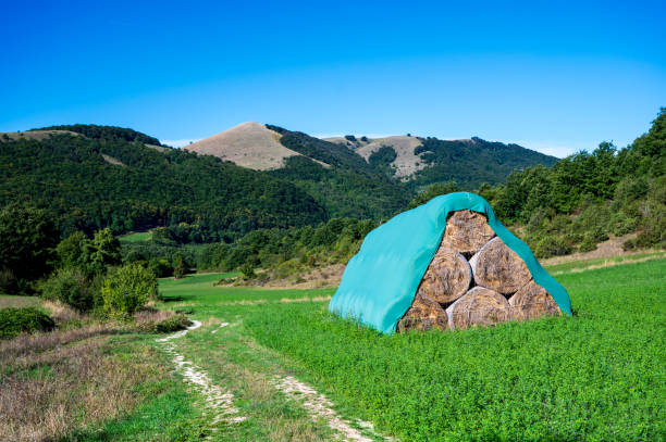 In a picturesque rural landscape, a charming scene with a haystack sits quietly beside quaint little houses