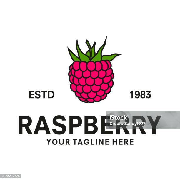 Red Raspberries Logos Raspberry Logo Design Vector Illustration Stock Illustration - Download ...
