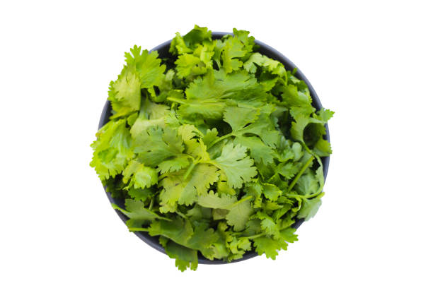 istock Fresh organic coriander, vegetables and herbs 2172245430